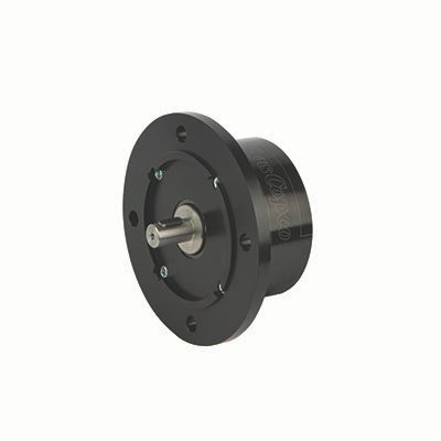 PZB09-L-AR500-20
